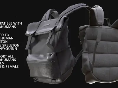 BackPack 38 - All MH Bodies - UE5 Skeletons - Rigged Low-poly 3D model