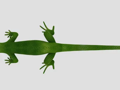 Reptile Lizard Low-poly 3D model