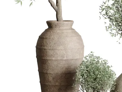 Olive tree in an old earthenware vase indoor set 351 Low-poly 3D model