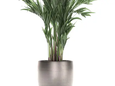 Decorative palm in a flowerpot 693 3D model