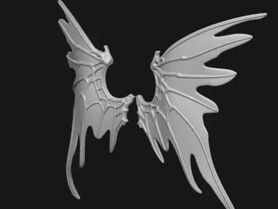Wings 3D print model