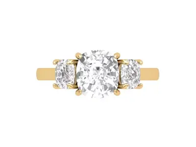 Cushion Ring 3D print model