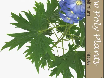 Low Poly Plants dandelion flowers Low-poly 3D model