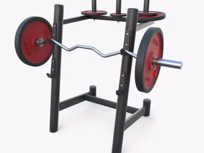 Curl rack 3D model