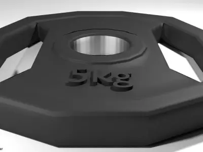 Exercise Equipment Weight Plate 3D model