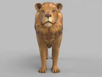 wild lion 3D model