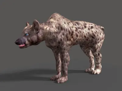 hyena 3D model