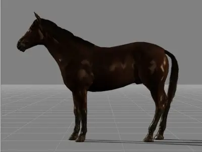 horse v1 Low-poly 3D model