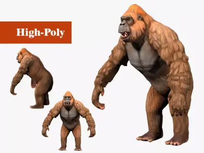 gorilla  rig  high-poly  textured 3D model