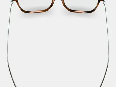 Caleb Eyeglasses in Woodgrain Tortoise with Polished Silver 3D model