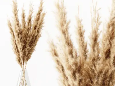 Decorative Set 121 3D model