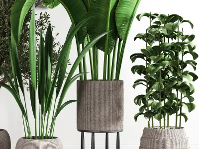 indoor plant stant 42 3D model