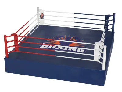 Boxing ring 3D model