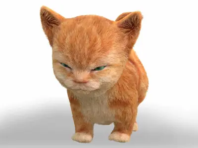 Fur Cute Cat kitten yellow animated Low-poly 3D model