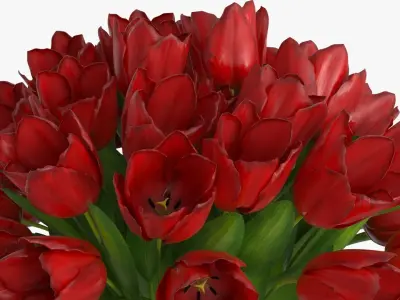 Bouquet Flowers Collection