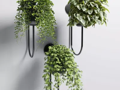 collection Indoor plant 101 vase metal stand wall plant 3D model