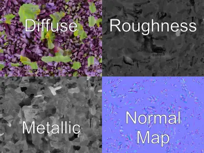 Realistic Lavender Plant Diversity model pack Low-poly 3D model