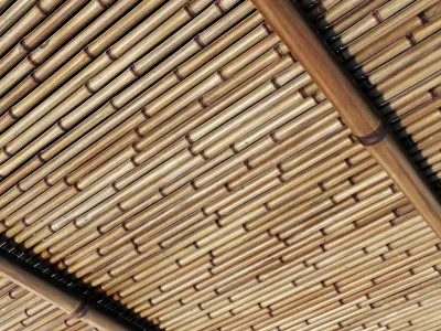 Branch bamboo long low n1 3D model