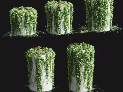 Ivy in round tubs 3D model
