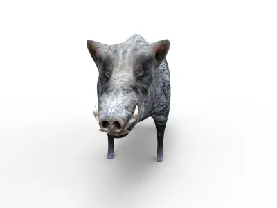 3D Wild Boar 3D Model Low-poly 3D model