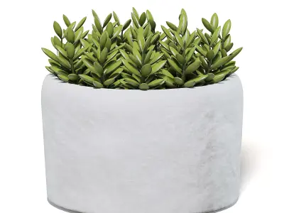 Plant in Stone Pot 3D Model 3D model