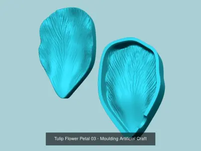 03 Tulip Flower Petals - Molding Artificial EVA Craft 3D Model Collection