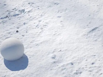 Backyard road in snow texture Texture