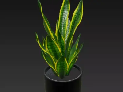 Realistic 3D Pot Plant 3D model