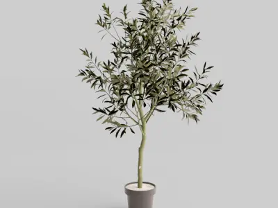 Faux Potted Olive Tree Large 3D model