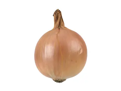 Photorealistic Onion 3D Scan 3D model