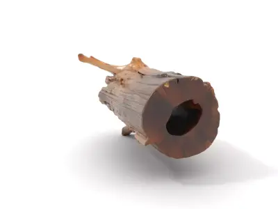 Rustic Wood Log model pack Texture