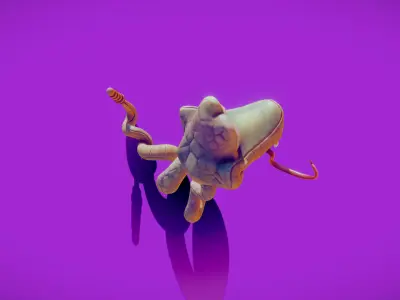 Snake Toon Printable version available 3D model