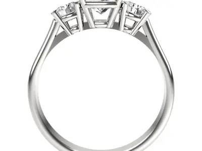 Bespoke ring Free 3D print model