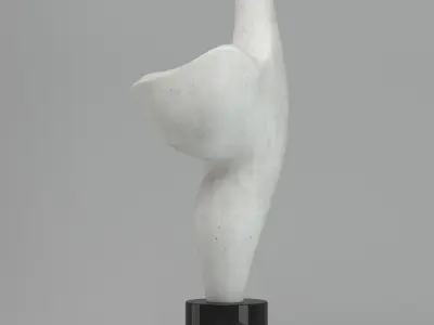 Davidovici Sculpture 3D model