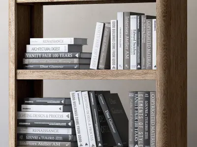 Book collection bookcases for living room 3D model