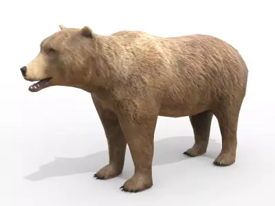 Animated Brown Bear Low-poly 3D model