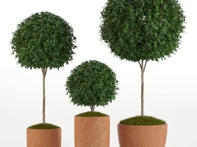 Plants collection 16 3D model purchase
