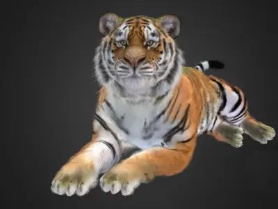 Tiger Realistic Animated 3D model