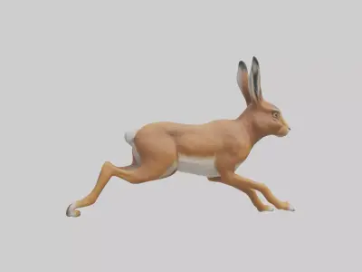 Hare running model Low-poly 3D model