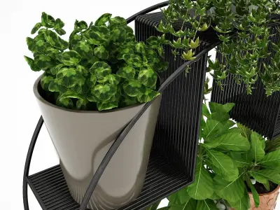 Realistic plants in pots  3D model