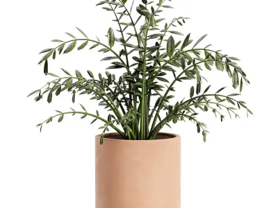 Terracotta Pot with plant 3D model