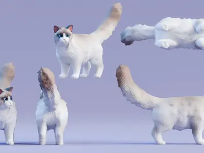 Low poly - Stylized cats - Ragdoll Cat Low-poly 3D model