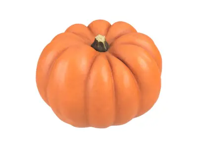 Photorealistic Mandarin Pumpkin 3D Scan 1 3D model