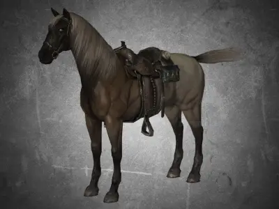 Horse - Pack 01 3D model