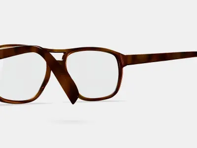 Ortega Eyeglasses in Peppercorn Tortoise 3D model