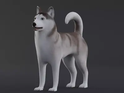 Dog Alaskan Malmute Low Poly Model Game AR VR Low-poly 3D model