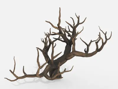 Aquarium Snag V31 3D model