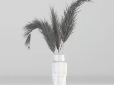 Pampas-grass three dried grasses in vase 3D model