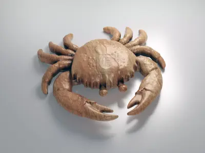 Crab Shaped Jewelry Box - Digital Files for CNC 3D model