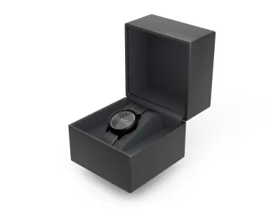 Watch with case 3D model